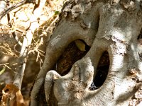 scaryTree2